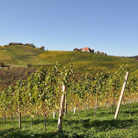 Bed and Breakfast Weingut Koegl Ratsch an der Weinstraße Exteriér fotografie