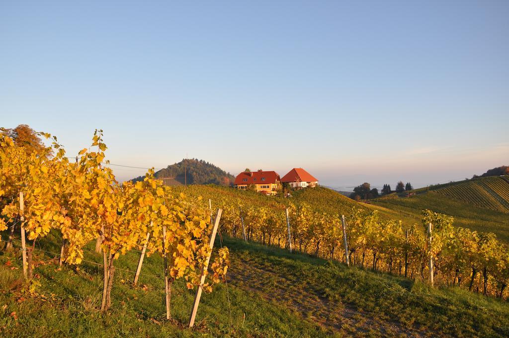 Bed and Breakfast Weingut Koegl Ratsch an der Weinstraße Exteriér fotografie