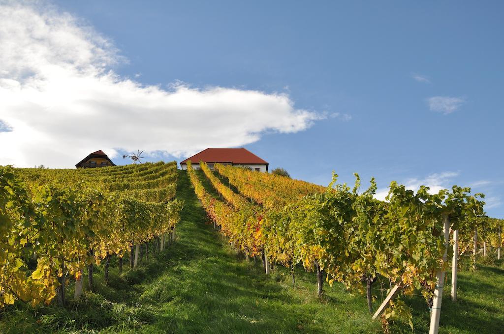 Bed and Breakfast Weingut Koegl Ratsch an der Weinstraße Exteriér fotografie