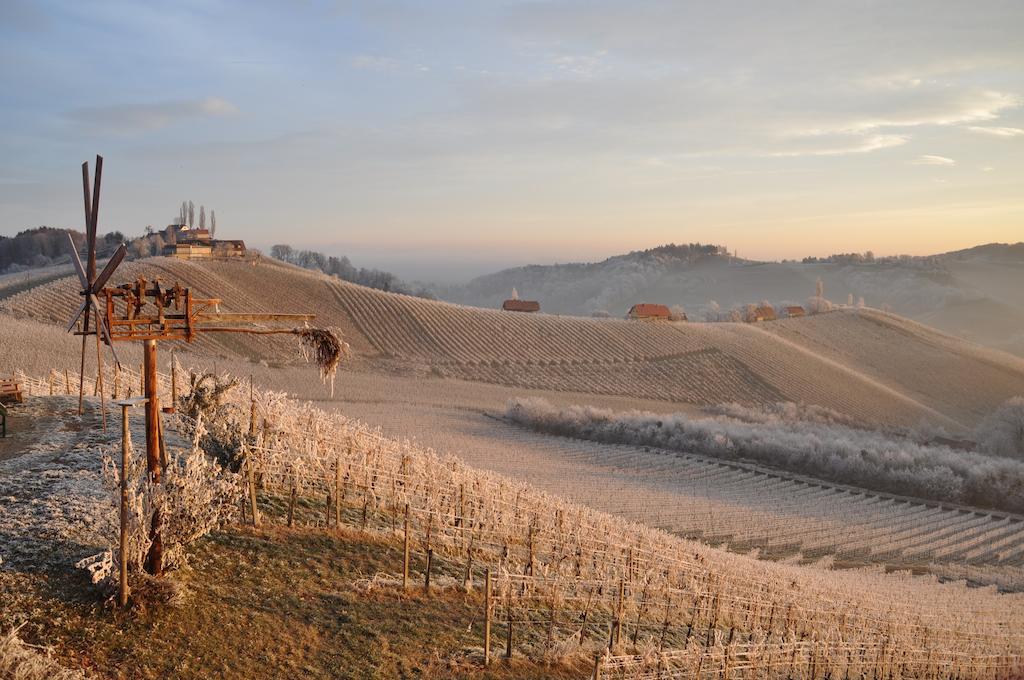 Bed and Breakfast Weingut Koegl Ratsch an der Weinstraße Exteriér fotografie