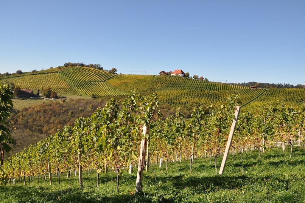 Bed and Breakfast Weingut Koegl Ratsch an der Weinstraße Exteriér fotografie